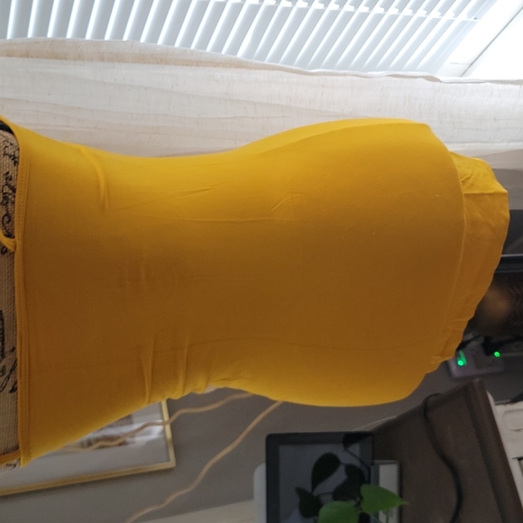 Dynamite Tank - Picture 4 of 5